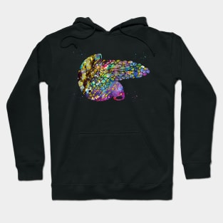 Pancreas Hoodie